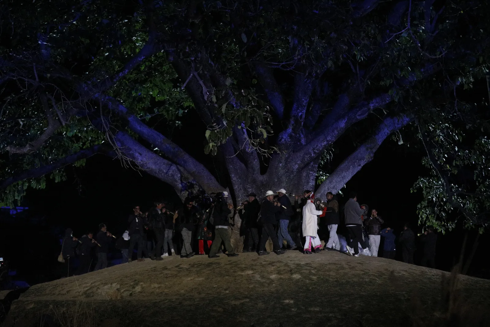 Night ritual under a large tree from A Dancer's Homesickness